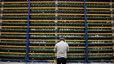 A modern mining farm powered by solar panels