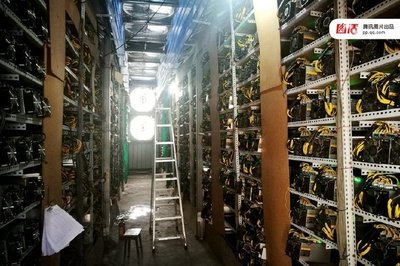 Overview of a modern mining farm showing numerous machines at work